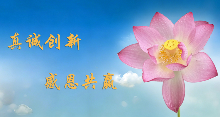 极速推 快速提升网站整体排名